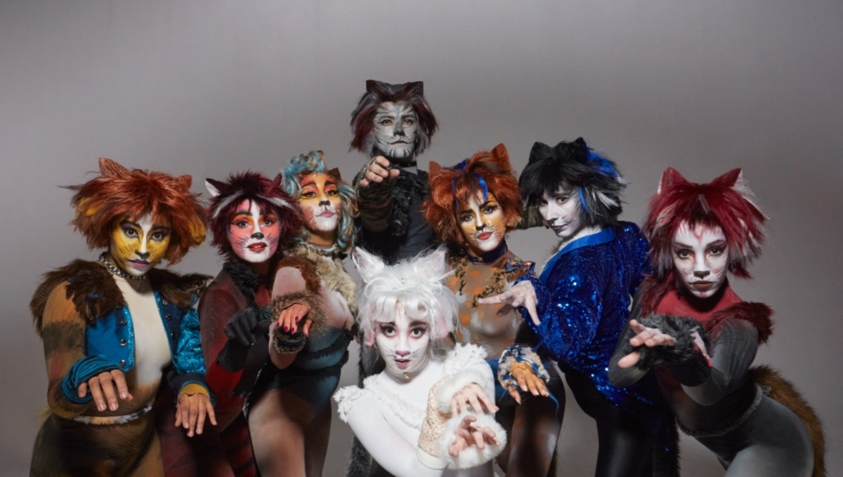 Musical CATS en regiones