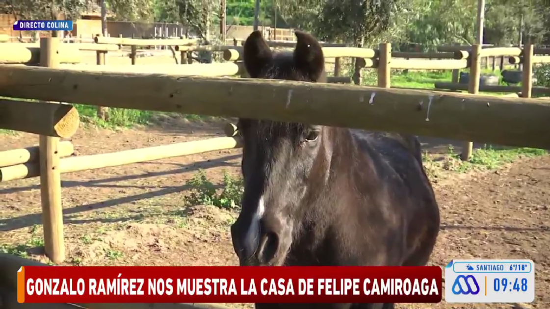 Gonzalo Ramírez mostró la casa de Felipe Camiroaga