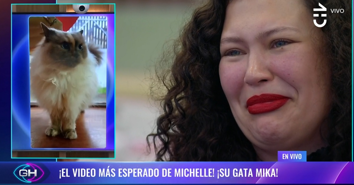 Michelle Carvalho lloró con video de su gatita Mika en Gran Hermano