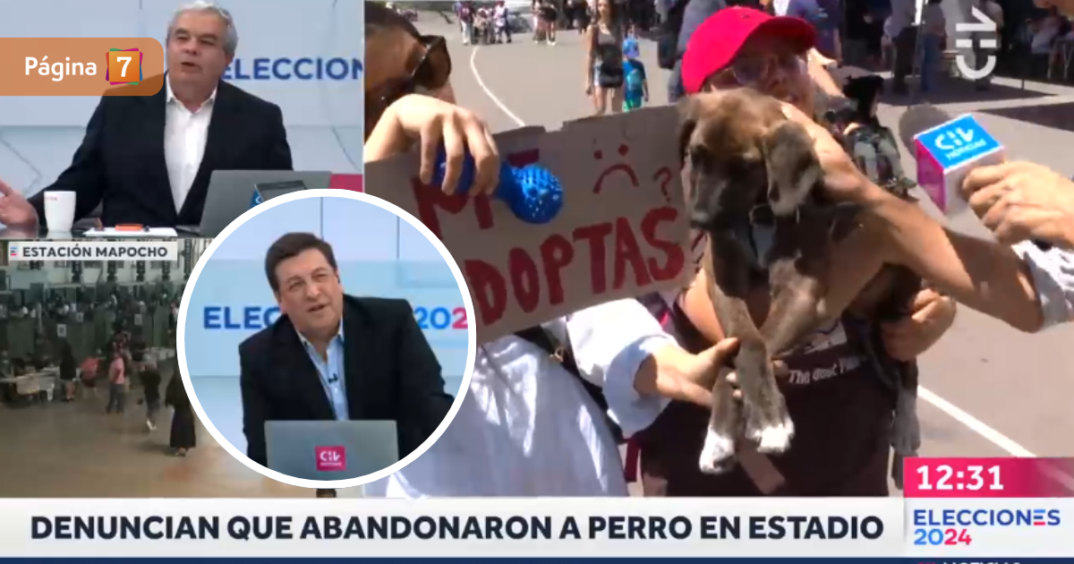 Broma de JC por perrito en adopción