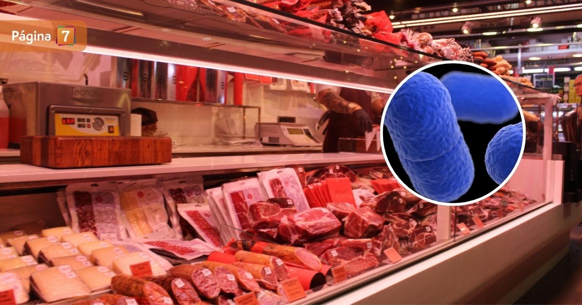 Minsal ordena retiro de productos de conocidas marcas: detectaron presencia de Listeria
