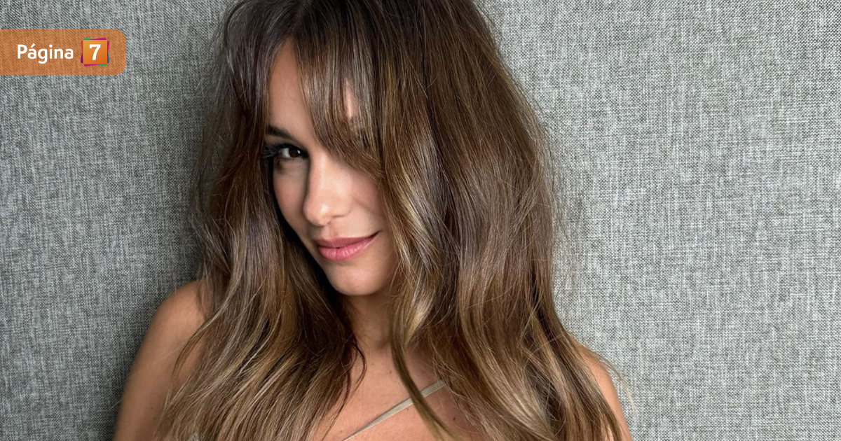 Pampita llegó a Chile en medio de polémica separación con Roberto García Moritán: las imágenes