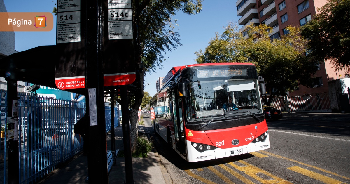 Refuerzo buses Red elecciones 2024