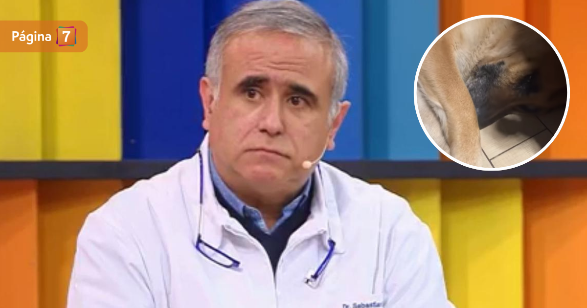 Doctor Ugarte compartió íntima ceremonia de despedida a su perrito Antes de volver a casa