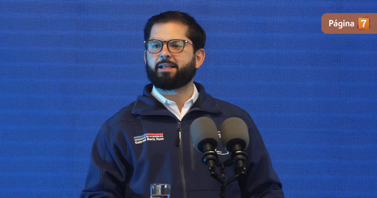 causas judiciales de la denunciante de Gabriel Boric