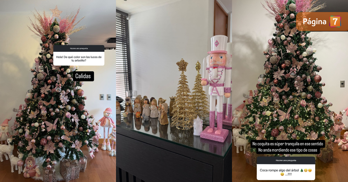 Pareja de Nano Calderón mostró cómo decoró su nueva casa para Navidad: árbol tiene particular color
