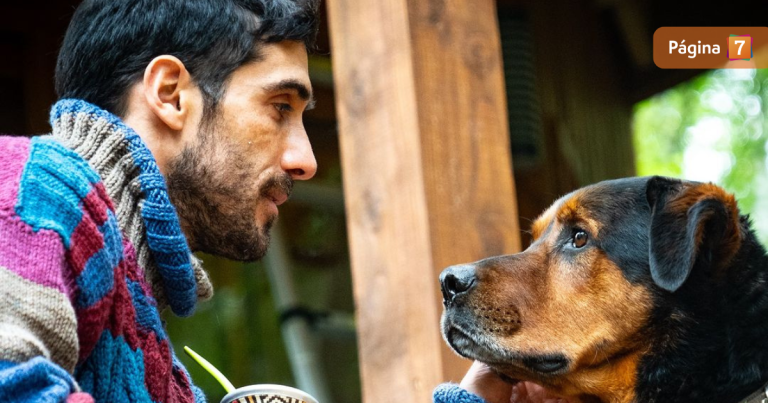 Pedro Astorga compartió bellas postales de su casa en Pucón: 