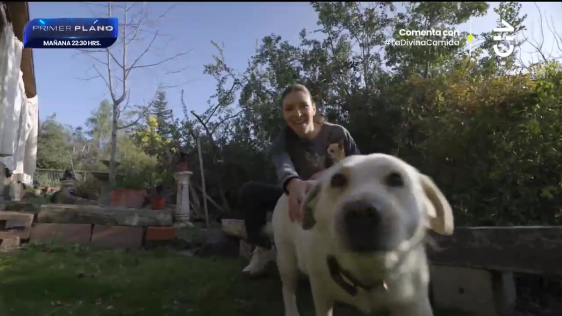 Carla Jara abrió las puertas de su casa: destacó espacio para sus mascotas fallecidas