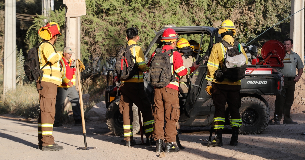 Alerta Roja por incendio en Lonquimay