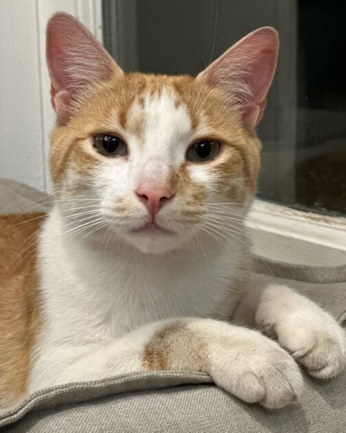 Soledad Onetto sufrió dolorosa pérdida en medio de la víspera de Navidad: “Un día de contrastes”