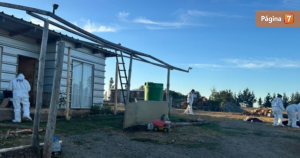 Violento femicidio en Lautaro hombre mató a su pareja frente a sus hijos y se suicidó