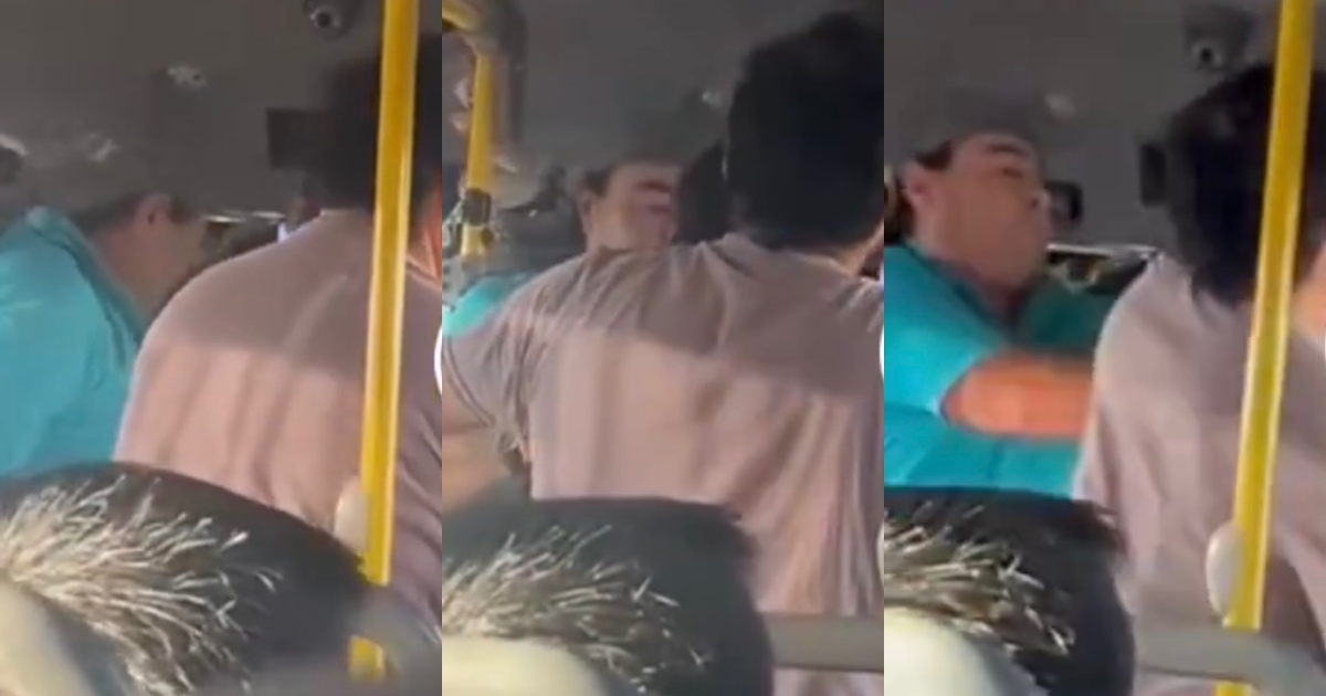 Chofer agrede a pasajero que quiso pagar con su TNE en recorrido de Viña del Mar