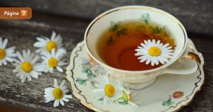 desintoxicarse infusiones naturales post año nuevo