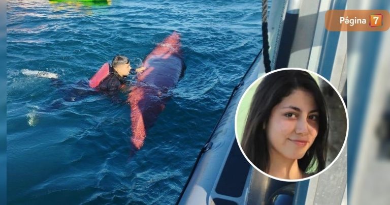 Encuentran kayak de joven desaparecida en Lago Villarrica: hallazgo repercutió en la búsqueda