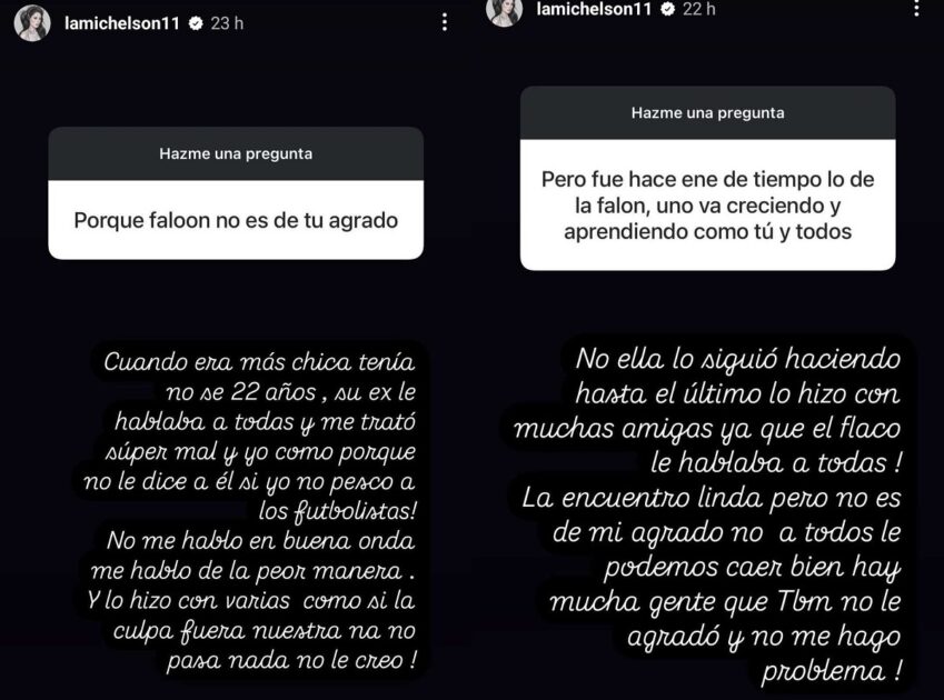 Ignacia Michelson contra Faloon Larraguibel