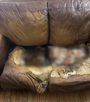 El crudo caso de Lacey Fletcher: padres la dejaron morir y su cuerpo apareció "fundido" en un sillón