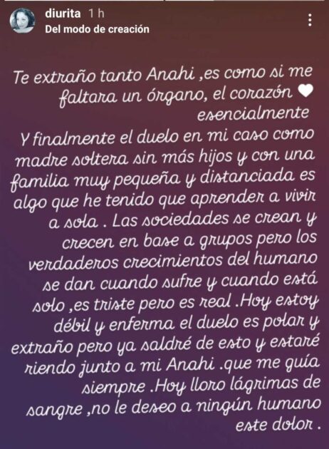 La desgarradora reflexión de madre de Anahí Espíndola 