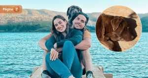 Perro de Pangal Andrade y Melina Noto terminó en cirugía por absceso: 