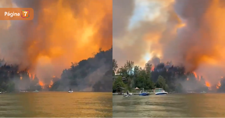 Incendio forestal arrasa más de 110 hectáreas en Litueche: evacúan zonas pobladas tras Alerta Roja