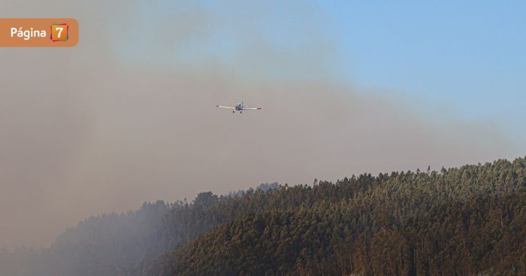 Balance de Senapred: hay 19 incendios forestales en combate y 44 damnificados en el país