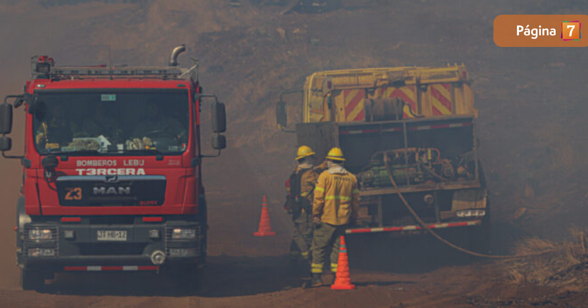 Cuatro incendios siguen activos Conaf confirmó más de 50 hectáreas afectadas en el Biobío