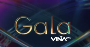 Venta de entradas para la Gala de Viña 2025: tickets no podrán ser renominados