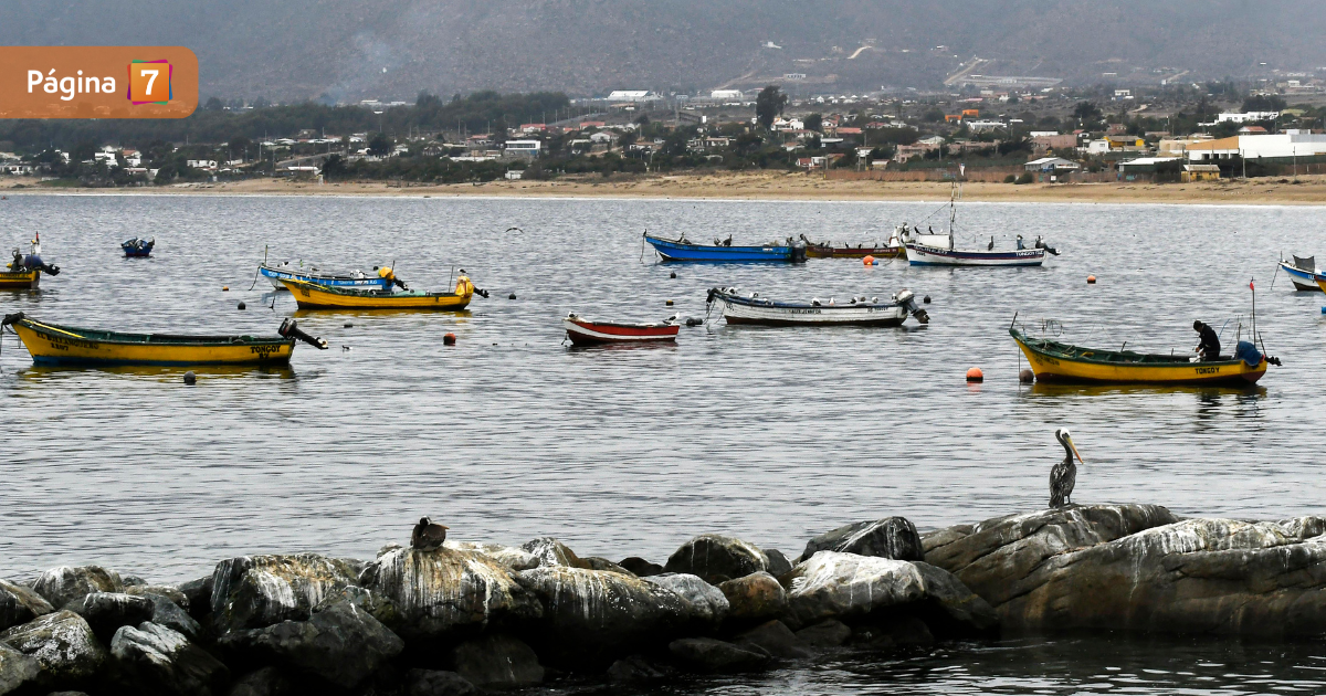 Pescador murió en trágico accidente laboral e Guanaqueros: ¿qué se sabe de este crudo caso?