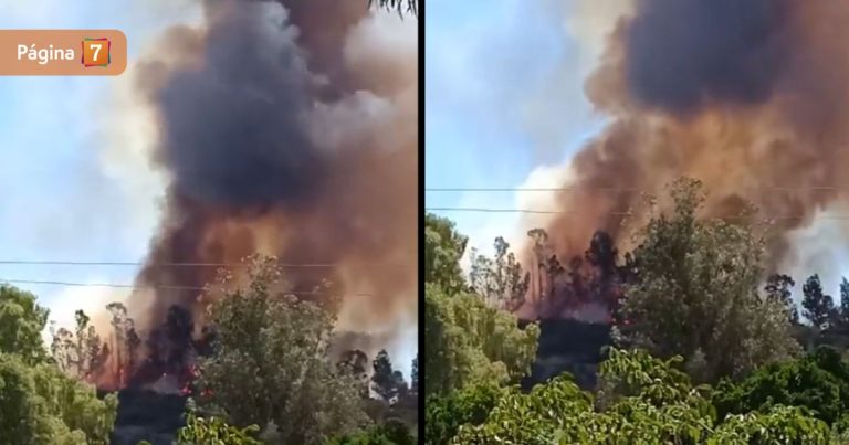 Adulta mayor de 82 años falleció en incendio forestal que afecta a la región del Maule