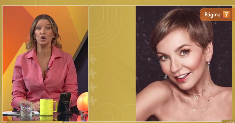 Claudia Schmitd contra Fran García-Huidobro por criticar dichos sobre Camiroaga: 