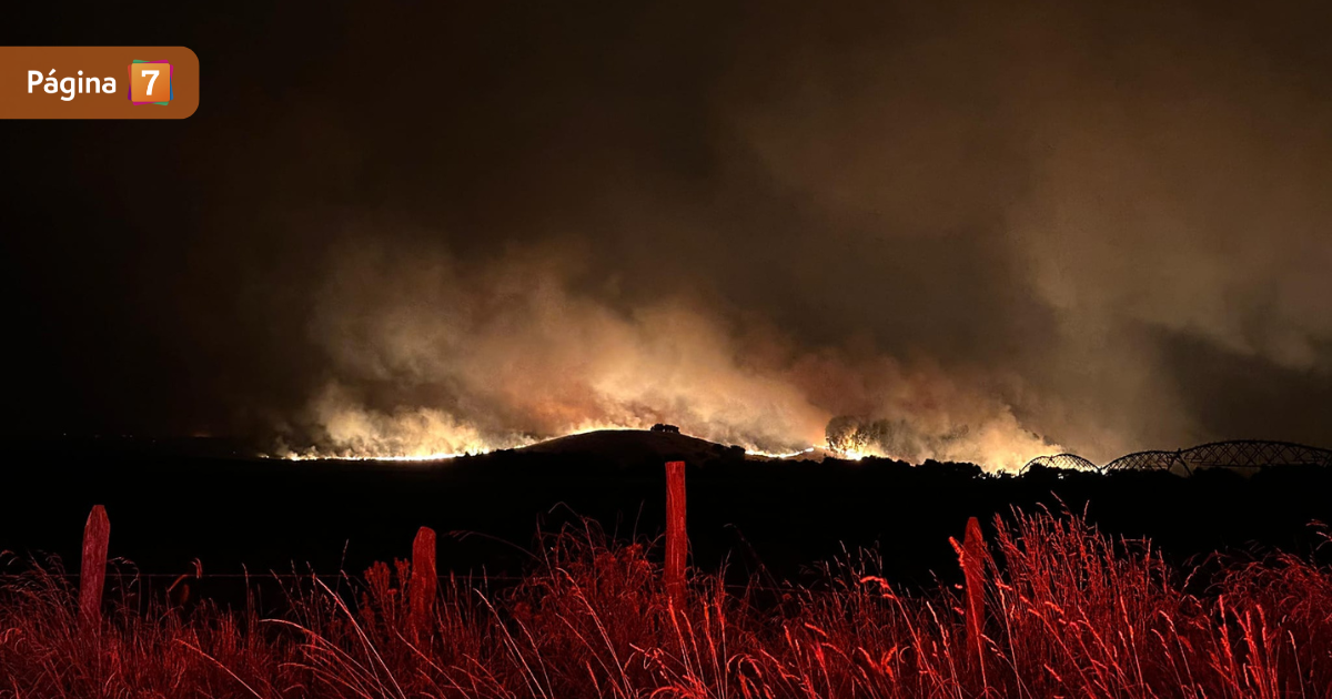 Incendio forestal en Mulchen