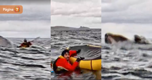 Padre vivió gran susto con su hijo al ser 'tragado' y luego expulsado por ballena en Magallanes