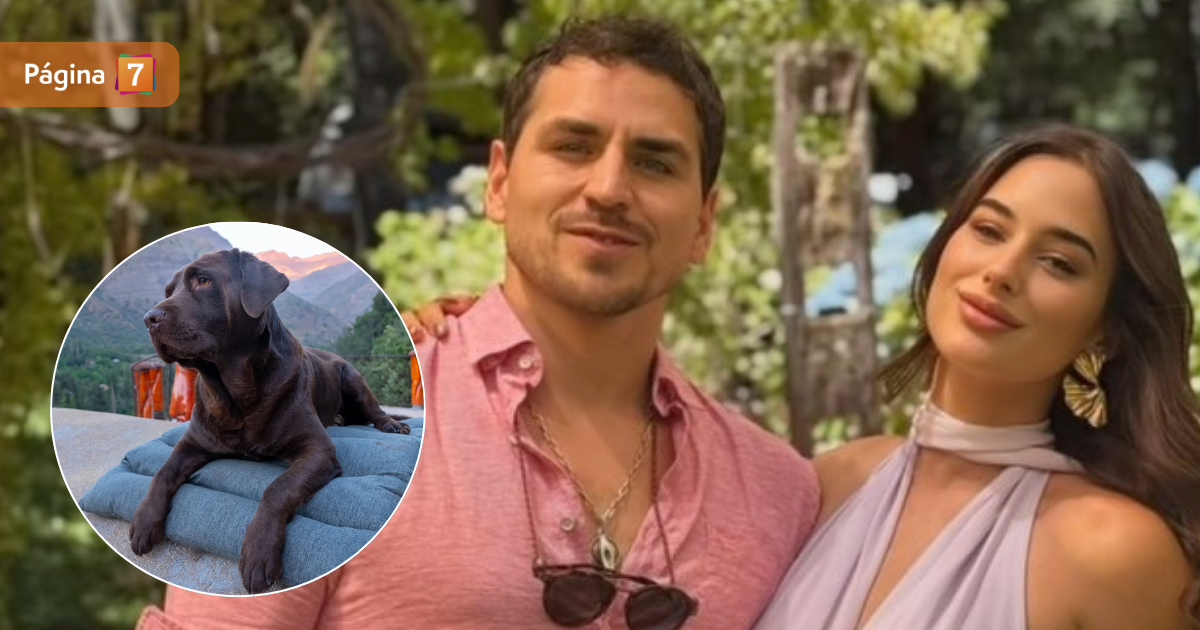 Perro de Pangal Andrade y Melina Noto atraviesa complejo estado de salud: "No ha mejorado tanto"