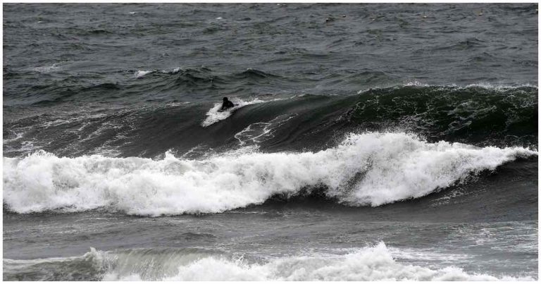 A solo dos semanas de su boda: ¿quién era la surfista que falleció tras accidente en Cobquecura?