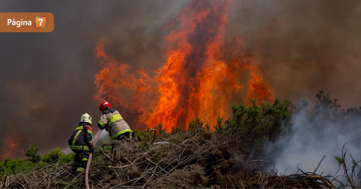 salvoconducto toque de queda araucania