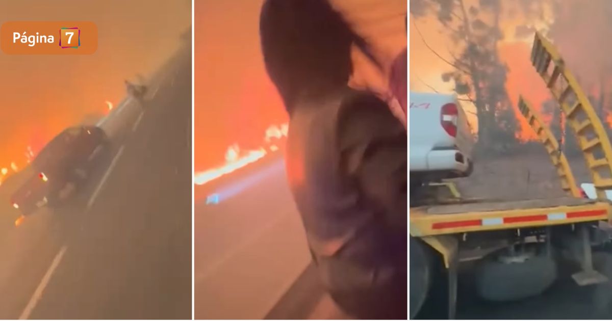Madre e hija grabaron impactante huida en medio de incendio forestal en Ruta 5 Sur: “Nos vamos a quemar”