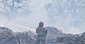 ¿Qué es el viento Puelche?: El fenómeno meteorológico que podría propagar incendios forestales