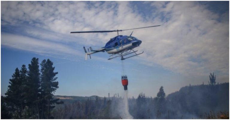 Incendios forestales en La Araucanía y Bío Bío: Alerta Roja y evacuaciones