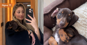 florencia araneda aclara que pasará con su perrita durante viaje