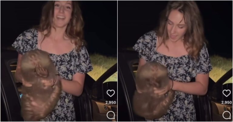 Influencer de EEUU causa indignación en Australia: capturó a cría de wombat para tomar una foto