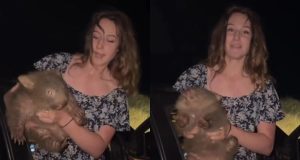 La influencer que indignó a Australia por capturar una cría de wombat