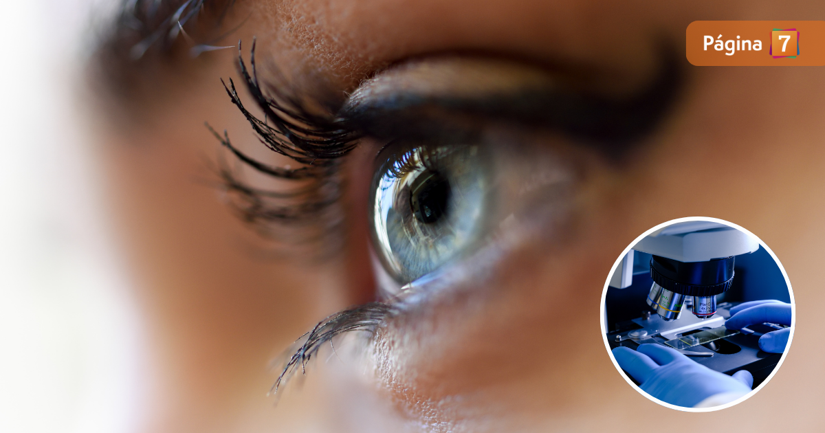 Olo científicos descubren nuevo color gracias a innovadora tecnología