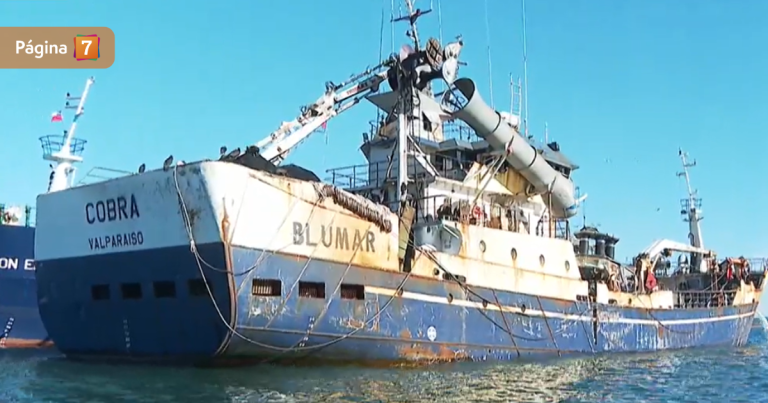 Gerente de Blumar afirmó que tripulación niega haber chocado a 'Bruma': 