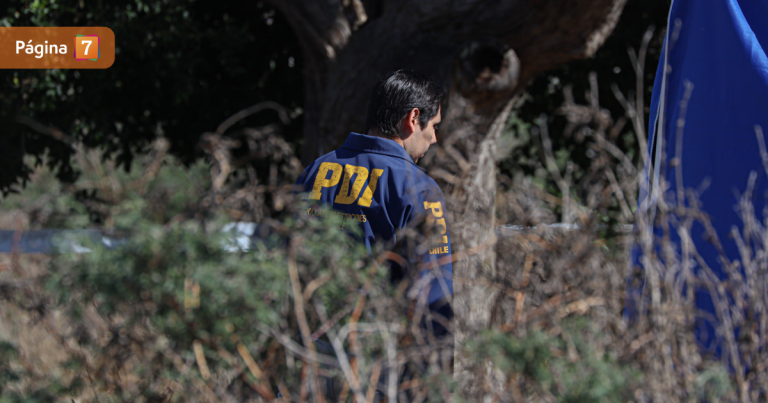 Carahue: encuentran cuerpo de adulta mayor que estaba desaparecida desde marzo