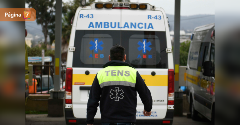 Hombre murió en Rinconada tras ingerir planta tóxica: otras dos personas fueron hospitalizadas
