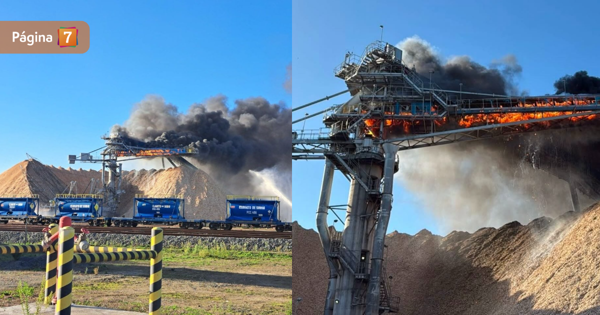 Registros evidencian magnitud del incendio que afecta a estructura de planta Celulosa Arauco