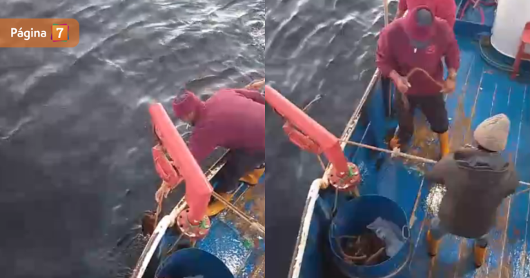 Hallan ancla de lancha Bruma mientras pescadores siguen desaparecidos: sería clave en investigación