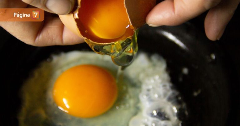 ¿Por qué los huevos están más caros? Gobierno explicó el motivo y entregó recomendaciones ante alza