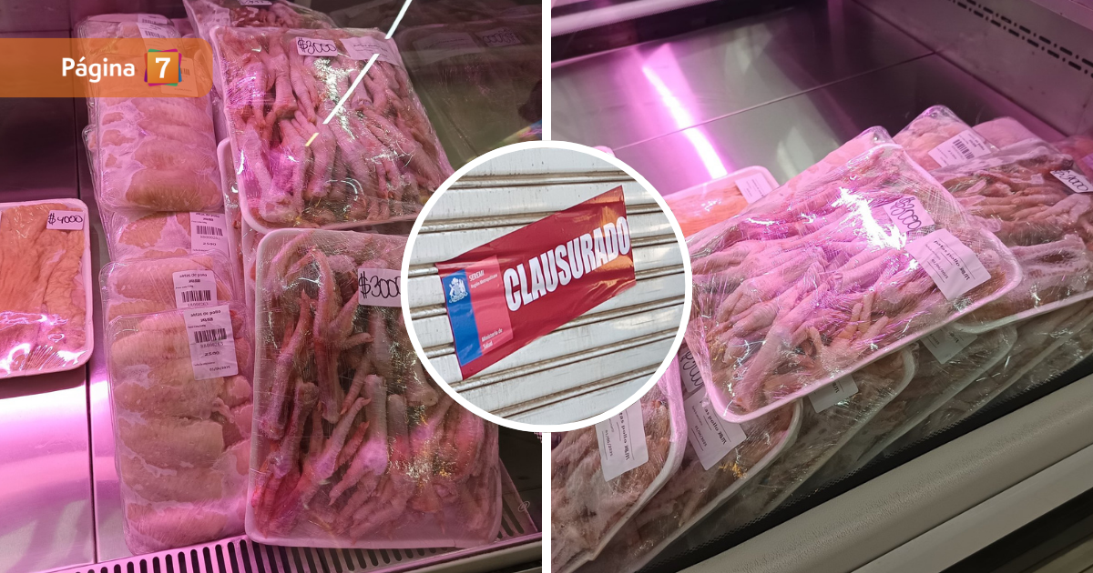 Seremi de Salud clausuró supermercado chino en Meiggs: vendían carne de tortuga, pato y anguila