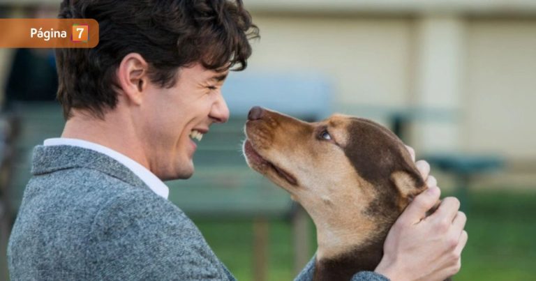 Fue rescatada de un basural: la historia real de la perrita que protagonizó 