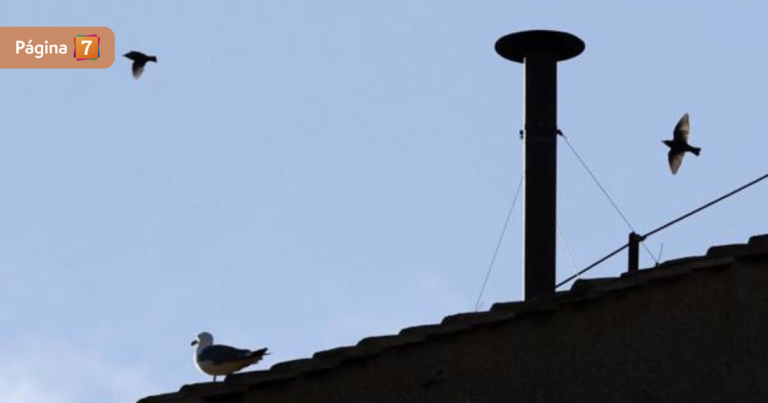 ¿Humo negro o blanco? Este fue el resultado tras primera votación para elegir al nuevo papa